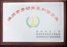 濱州市勞動關系和諧企業